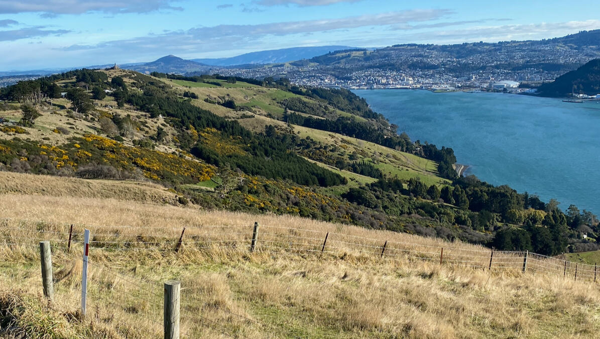 View of Dunedin